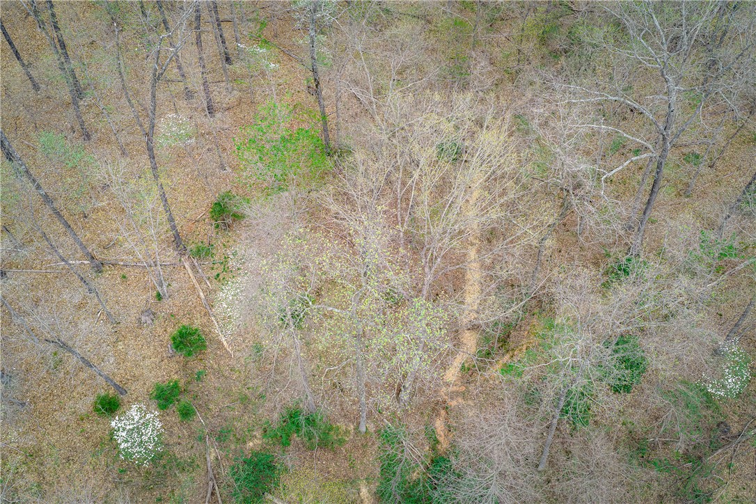 rural - Land