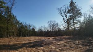 Huntington Place - Residential