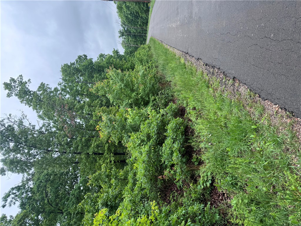 Build your dream home on this beautiful 0.31-acre lot in the heart of Bella Vista! Enjoy the perfect setting for a custom home surrounded by nature while still being close to all the incredible Bella Vista amenities. Spend your days exploring scenic trails, golf courses, lakes, biking paths, parks, and more. Whether you’re looking for a peaceful retreat or an active lifestyle, this property offers the best of both worlds in one of Northwest Arkansas’ most desirable communities.