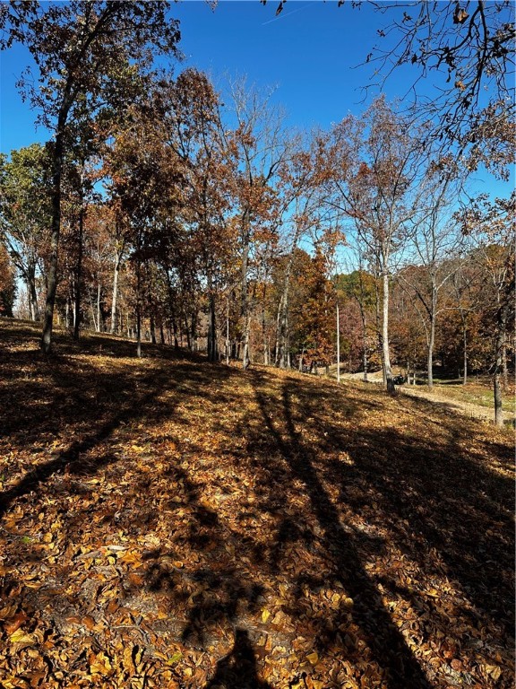 Tanglewood Resort 2 Rurban - Land