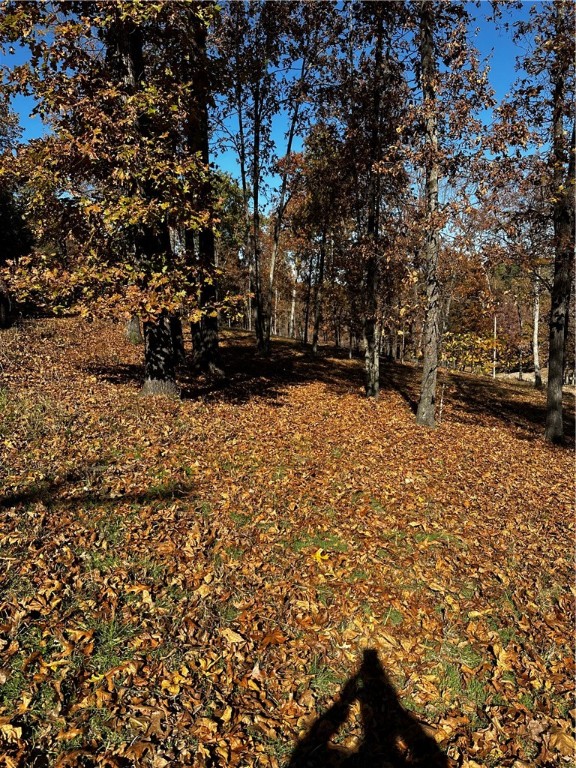 New survey April 2024 ! Build your lake area cabin on this wooded lot in the Rocky Branch Resort area. About a mile and a half from public boat launch at Rocky Branch State Park and Marina. Nearby Hobbs State Park hiking and biking trails, War Eagle Mill and Caverns. Electricity runs along East Robin Road Benton County Water Authority #5 municipal water at Rocky Branch Road.  Taxes shown are for the entire parcel. Additional contiguous lots available.