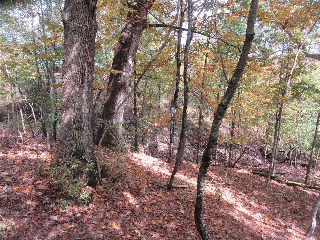 Freeman - Land
