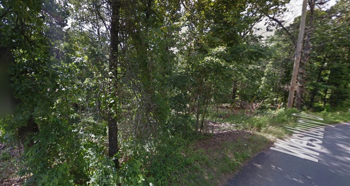 Lot on Westbury Drive. Back 40 trail behind the lot.