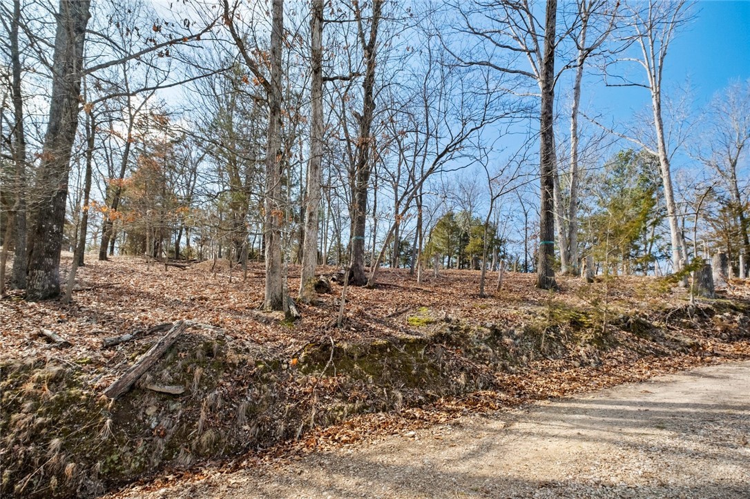 Huckleberry Hills Rurban - Land