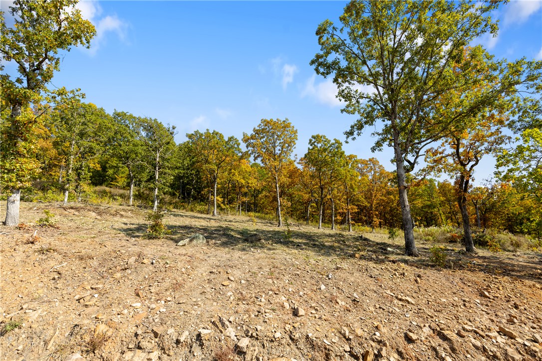 Round Mountain Estates - Land