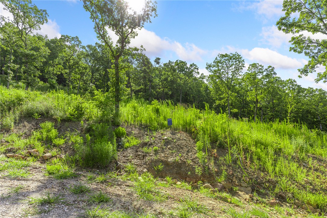 Round Mountain Estates - Land