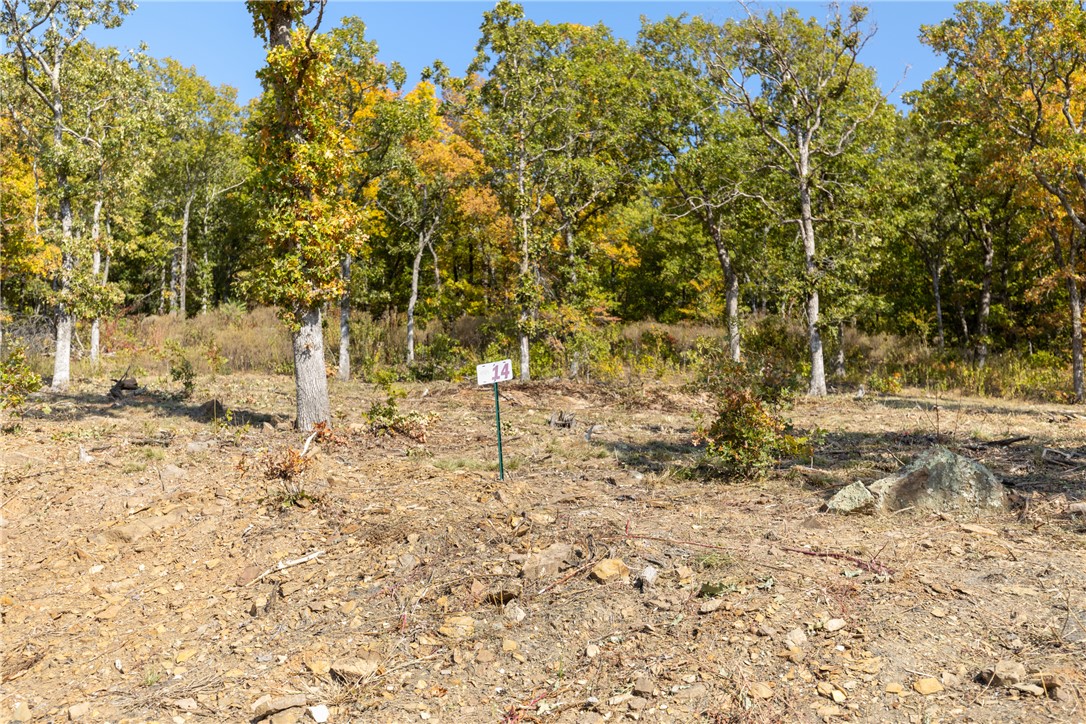 Round Mountain Estates - Land