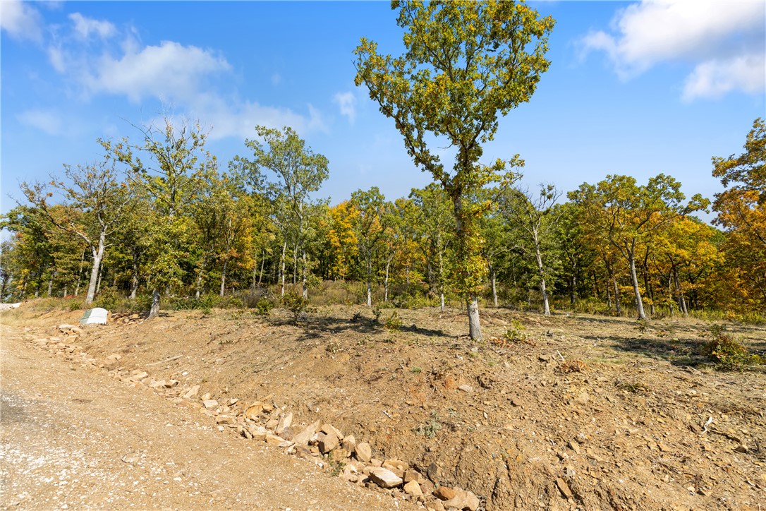 Round Mountain Estates - Land