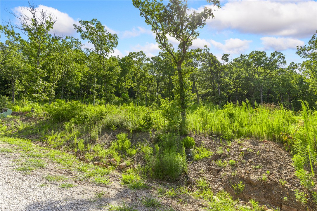 Round Mountain Estates - Land