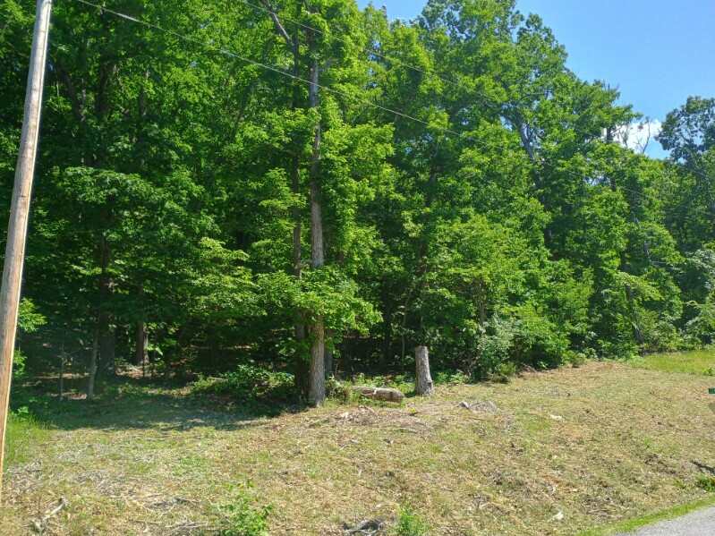 Ready to build your dream home? Quiet and gently wooded, this lot with water and electric available at the street gives you the best of both worlds. Enjoy the amenities in Holiday Island like golf courses, a country club, swimming, tennis and a marina with a fishing dock or watch the local fauna from your back deck! Nearby Eureka Springs or Rogers offer great shopping and vibrant cultural hubs.