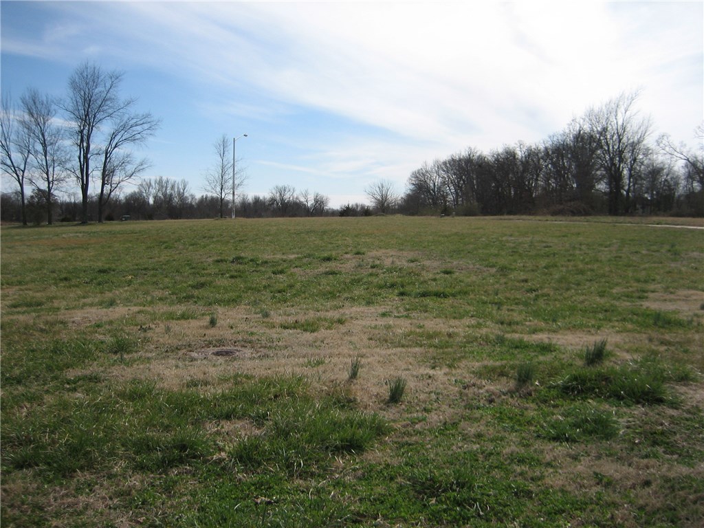 Close to schools, nice level lot.  Covenants concerning building regulations, 1200 square foot minimum. Listing agent related to seller.