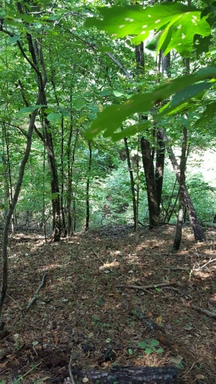 Beaver Shores Unit 5 Rurban - Land