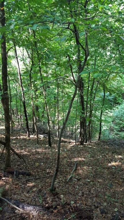 Beaver Shores Unit 5 Rurban - Land