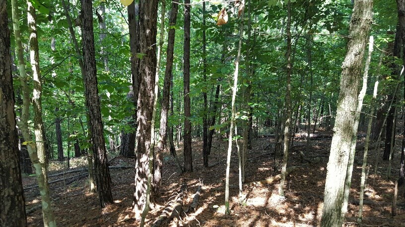 Beaver Shores Unit 5 Rurban - Land