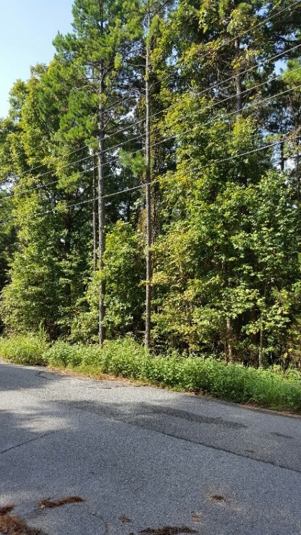 Beaver Shores Unit 5 Rurban - Land