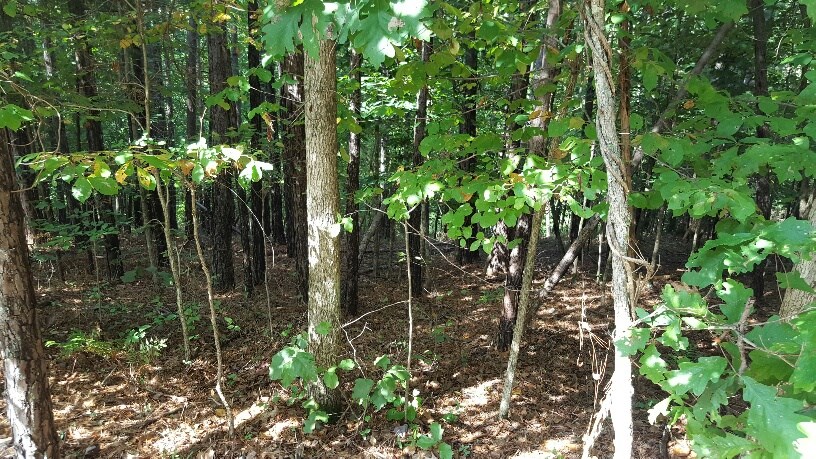 Beaver Shores Unit 5 Rurban - Land