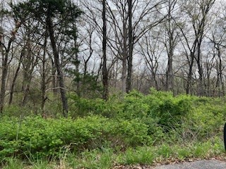 Great location close to Branchwood Clubhouse and Golf Course! Great concreted walking trail. Gently sloping lot on a quiet cul-de-sac, close to Branchwood Club House with gorgeous paved  trails, exercise equipment, sauna, and indoor pool, Easy access to Interstate-49