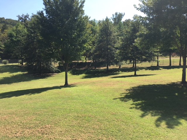 White River Estates - Residential