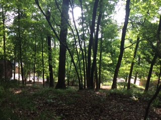 Lost Bridge Village Rurban - Land