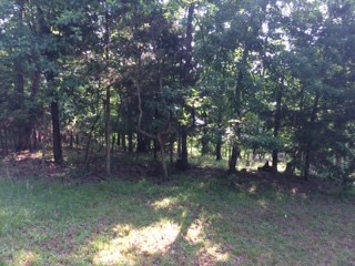 The first lot 60 is on Dogwood with the second lot l04 below on White Oak.  The lot 60 on Dogwood will have a nice lakeview  with trees trimmed.  Lost Bridge Village offers water and sewer with other amenities:  swimming pool, library, tennis court and community building.  Boat slip in community dock conveys with sale of these lots.  Boat slip with lift is 10 x 24.