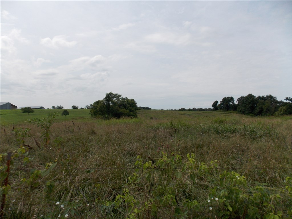 Looking for a 5 acre piece of heaven to build on?  You just found it.  Almost flat 5 acre cleared building lot or mini ranch, city water at road, flat and easy to build, very private setting.  Just west of Centerton off of Hwy 102.