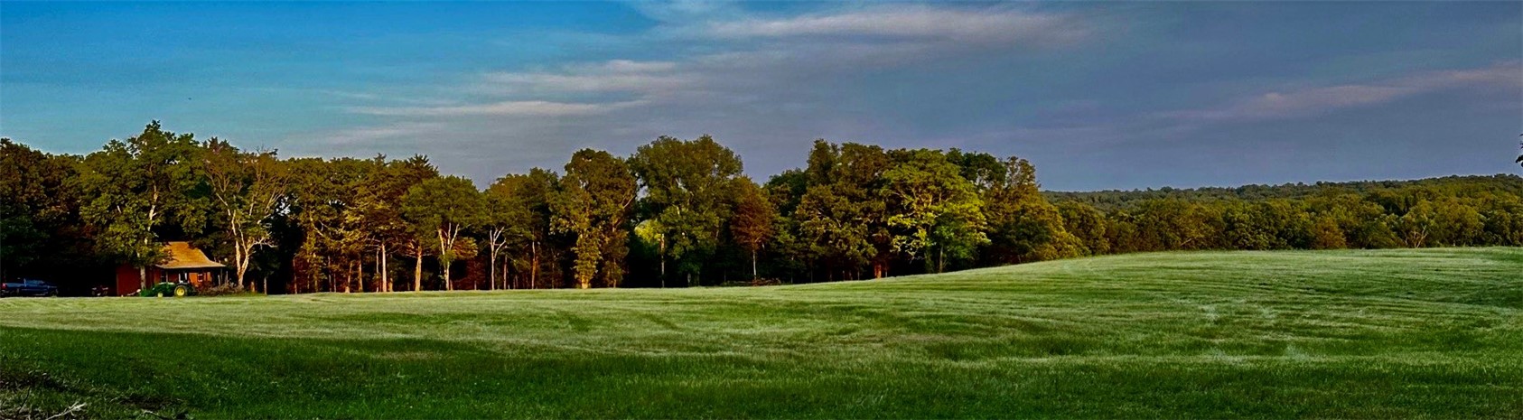 Bears, Big Bucks, Whitetail deer, Turkeys, Small Game, Quail Oh My! Paradise for Hunters, Deer Camps, Possible ATV recreational property/ w Income potential. Paradise awaits you with this rare, and stunning property, that is surrounded by the Ozark Mts National Forest on 3 sides over 250 acres to play on that only you have the Key too. Privacy that is almost next to impossible for the public to get to the Nat. Forest area that surrounds this hidden gem. See Attachments for more details.