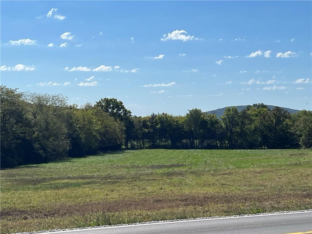 If you've been searching for the perfect canvas to build your dream home, this stunning 3.5-acre lot on Hwy 170 in Farmington is exactly what you've been waiting for. Mostly cleared and beautifully level, this property is move-in ready for your builder with public water, public sewer, electric, and gas already on site — a truly rare combination for a lot this size. Enjoy the best of both worlds with a peaceful, open setting tucked just minutes from all the amenities Fayetteville has to offer. With paved road frontage, a gorgeous open view, and a touch of mature trees, this is one of those lots that doesn't come along often. Zoned residential with no subdivision restrictions, you'll have the freedom to build the home you've always envisioned. Don't miss your chance to own a premier custom home site in one of NW Arkansas's most desirable corridors.