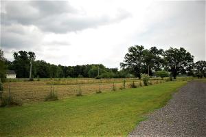 Treaty Creek Estates - Residential