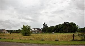 Treaty Creek Estates - Residential