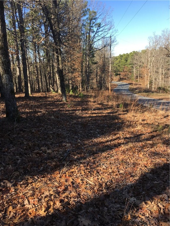 Great build site in the Timberlake Subdivision. Close to Beaver Lake and Praire Creek Marina! Property is only 2.5 miles from the Hwy 12 Bridge.  Electricity, water, and cable are at the street. This is a great location to build your dreams!!  Most of this property is fairly flat while gently sloping. Really nice tall mature pines and some hardwoods.