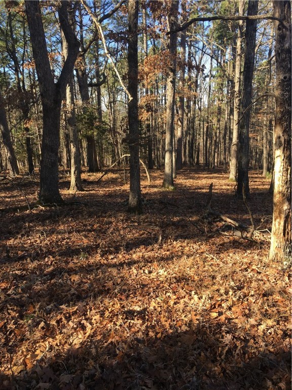 Timber Lake Estates Rurban - Land