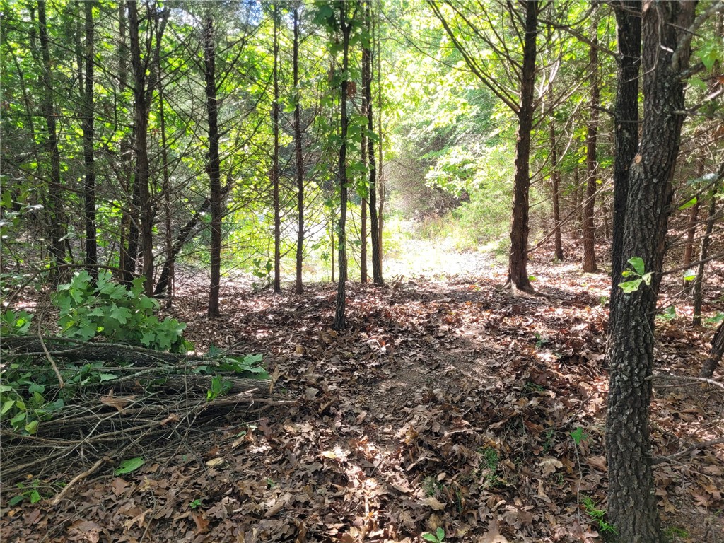 Come see these great 9.72 acres to build your new home. Wooded with an open spot to build. Pond on property, two entrances. Septic needed & water is across the road. Come build your private retreat.