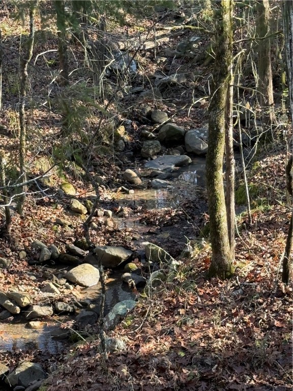 Unique Property Opportunity at the foothills of gorgeous Mount Nebo!
Discover the exceptional potential of this 12- acre parcel. This versatile property invites you to envision your dream home, create a recreational haven, or explore its possibilities for future development. The possibilities are endless.