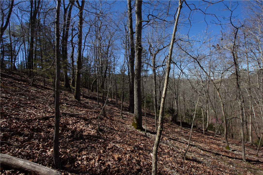 Tanglewood Resort No 2 Rurban - Land