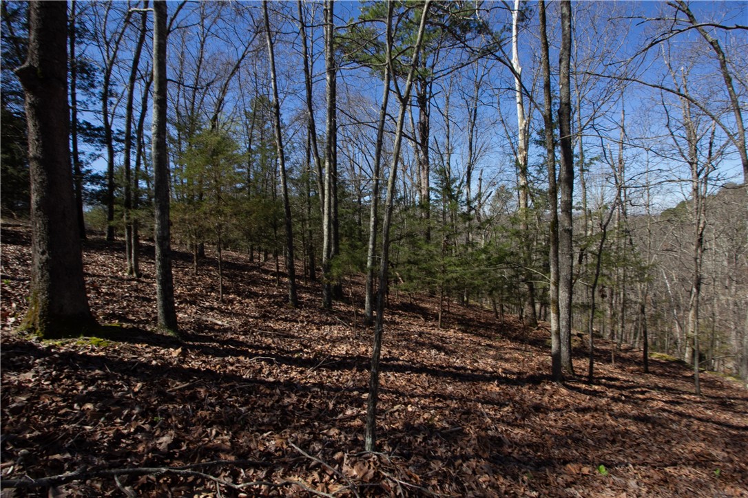 Tanglewood Resort No 2 Rurban - Land