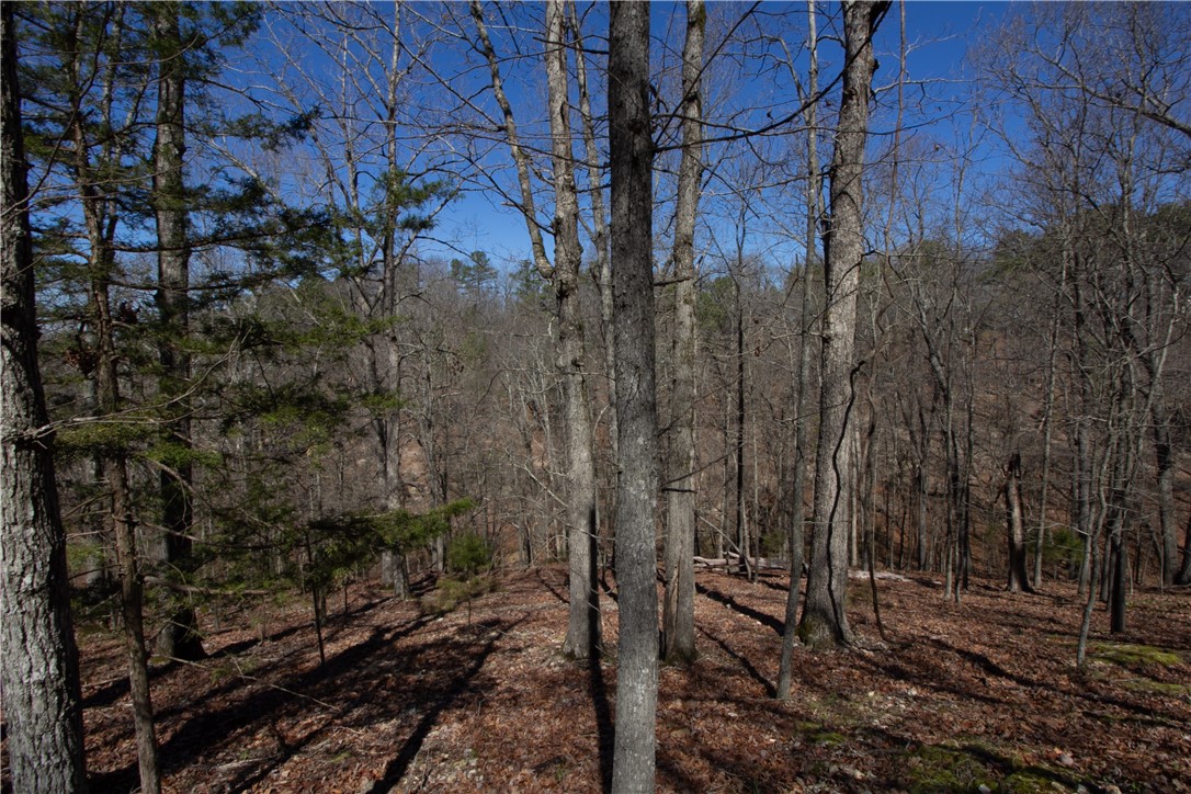 Tanglewood Resort No 2 Rurban - Land