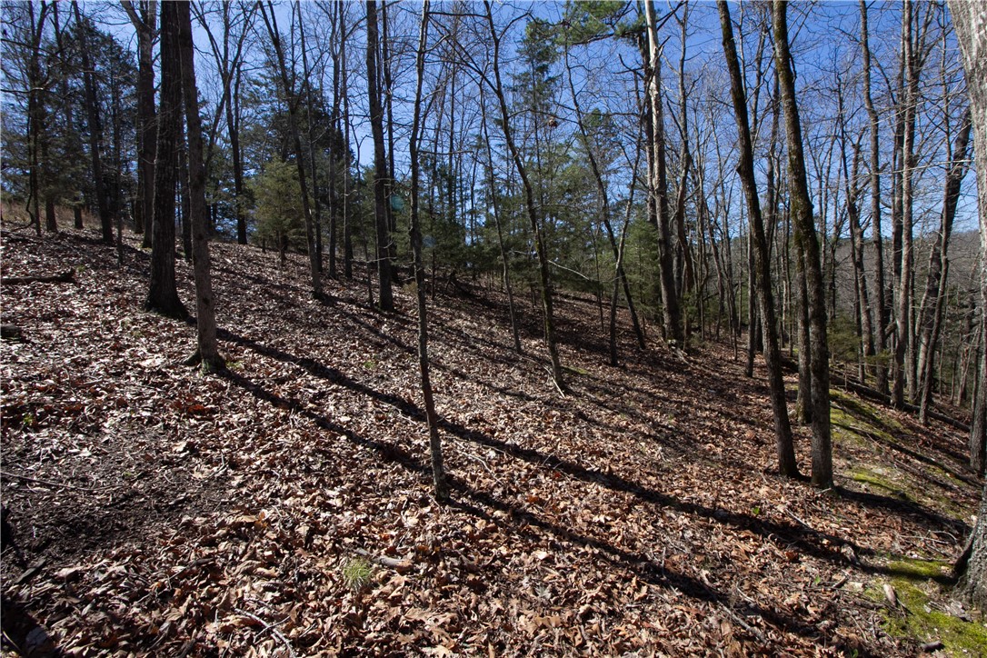 Tanglewood Resort No 2 Rurban - Land