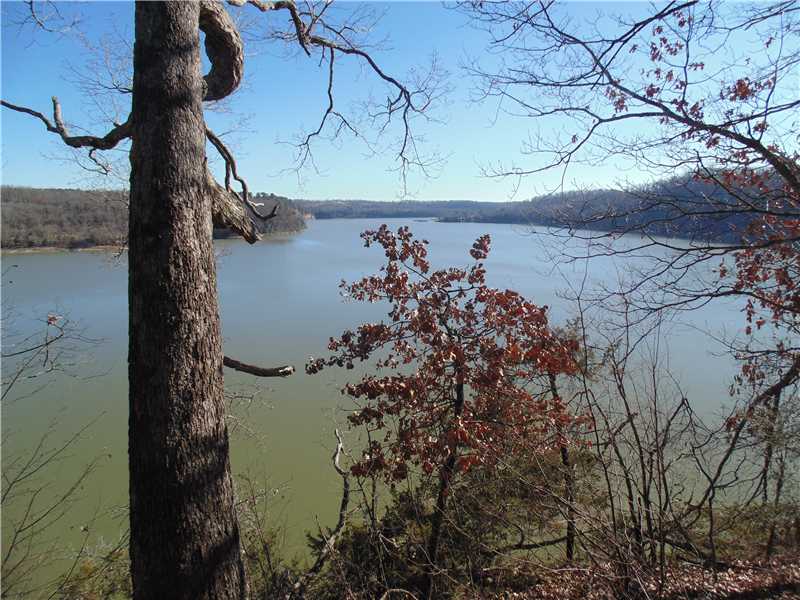 This is the best view lot on Beaver Lake and it is only minutes from Springdale and Fayetteville. Located in a platted subdivision, paved road, water, electricity, and cable at the street. No houses on either side, gorgeous views from above your lot,The property has already been perked for a septic tank. War Eagle State Park and Marina is only 1 mile away. Great boat launch or boat slip available to lease..Striper fishing, huge catfish along with crappie and bass await, you have full control of trees