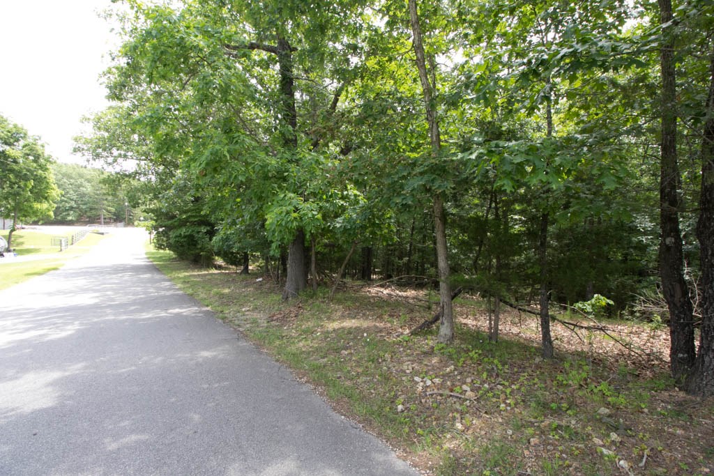 Tanglewood Resort 1 Rurban - Land
