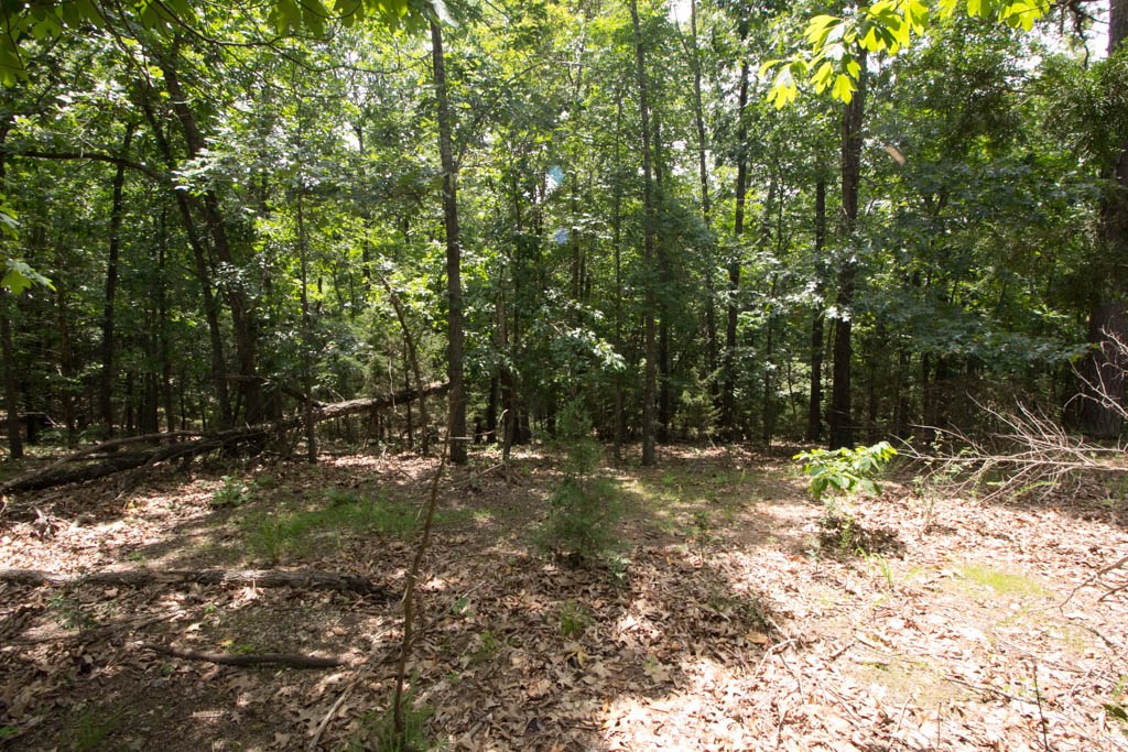Tanglewood Resort 1 Rurban - Land