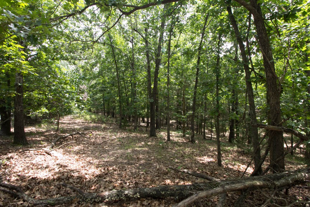 Tanglewood Resort 1 Rurban - Land