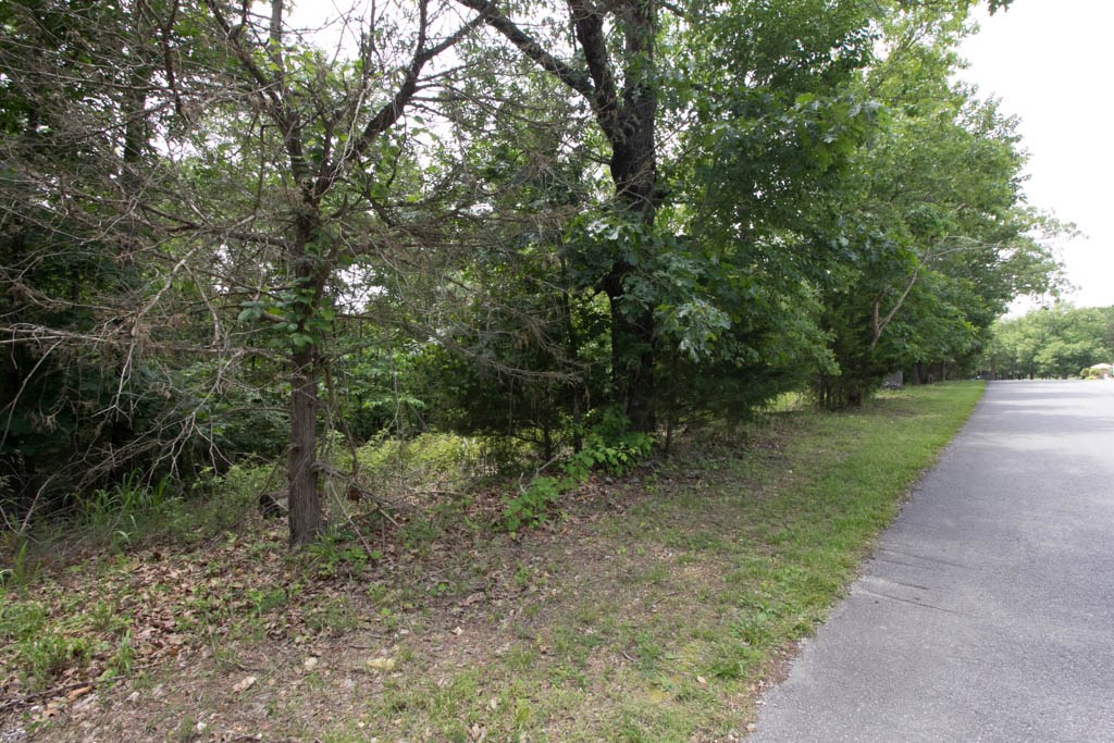 Tanglewood Resort 1 Rurban - Land