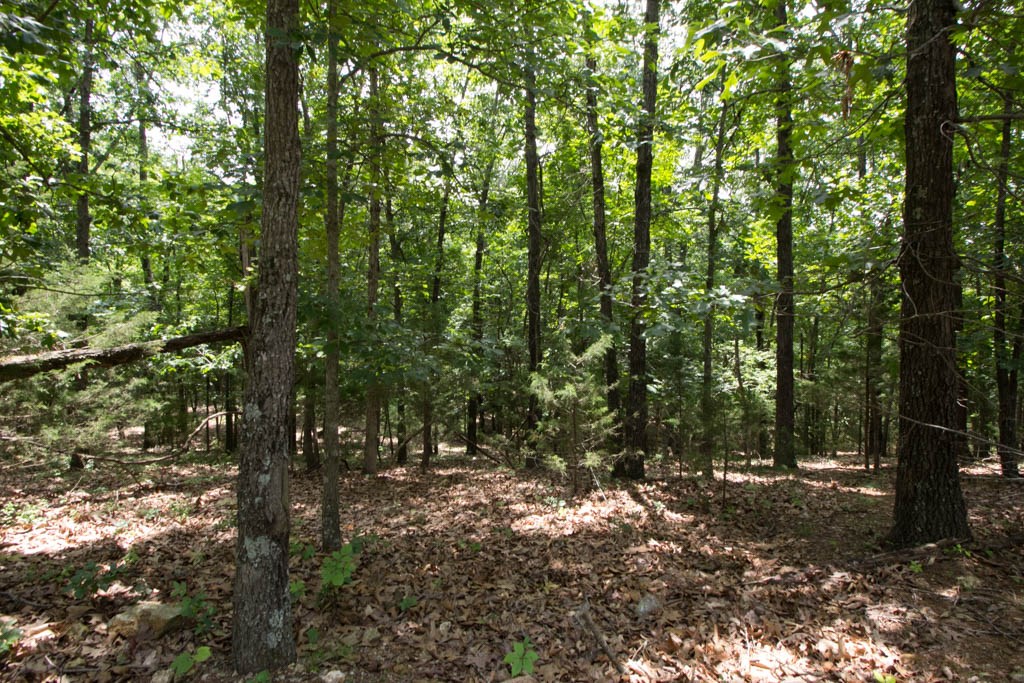 Tanglewood Resort 1 Rurban - Land