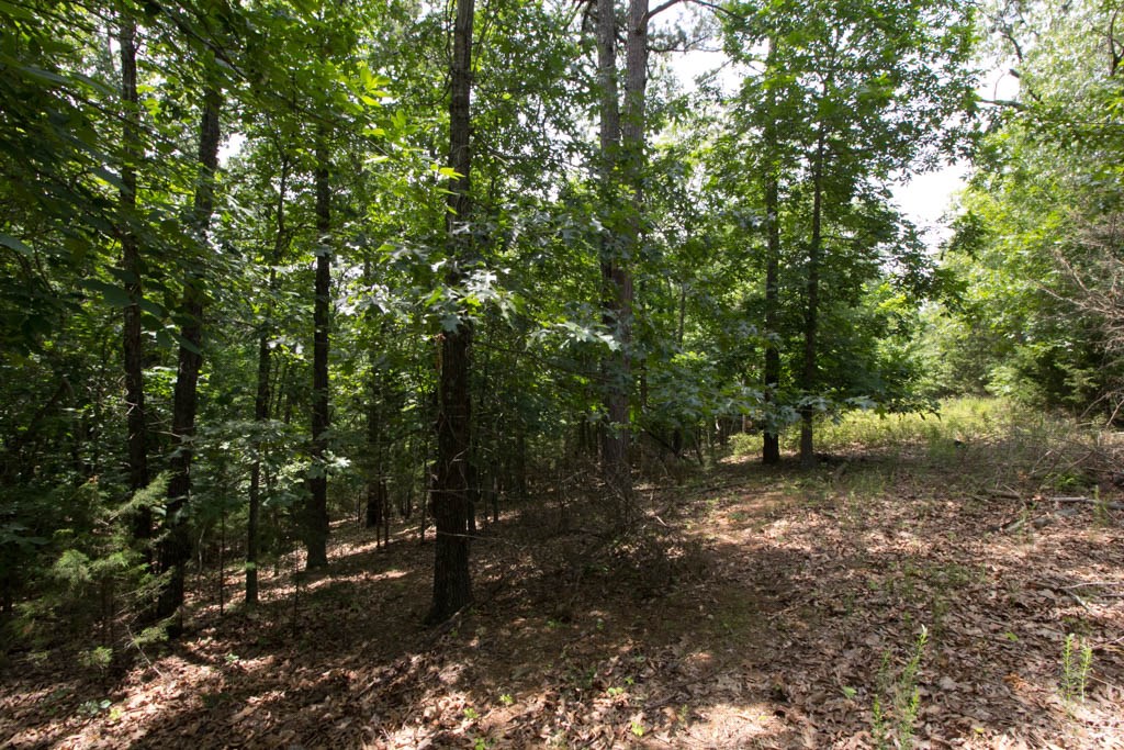 Nice buildable lots close to Rocky Branch Marina & State Parks. Property has been in family for years, first time being offered.Acreage and tax are approximate.
Sold as package with MLS #:1116063,1116041,1116035,1116118,1116107,1116045,1116125