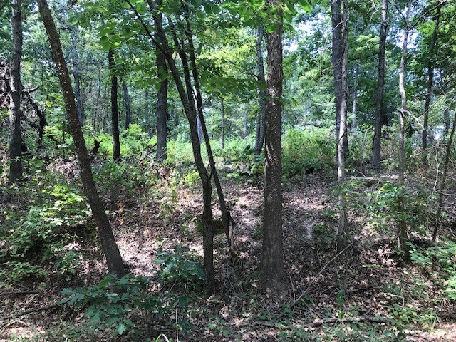 A lot located within the Bentonville school district and nestled amid the tranquil beauty of Bella Vista, Arkansas. This secluded parcel on Armitage Drive offers the ideal blend of privacy and a country feel within the city limits. Tucked away from the hustle and bustle, the property sits in a peaceful, forested backdrop. This location is centrally positioned within Bella Vista's west side, granting easy access to nearby amenities, 7 golf courses, 7 scenic lakes, and vibrant local communities. A mountain biker’s dream: with hundreds of miles of hand built trails weaving through the Ozark foothills. The Bamboozled trail lies close to this parcel.
Set to open the summer 2026, a groundbreaking, chairlift served downhill mountain biking destination—is under development nearby. This 200-acre park, complete with advanced jump lines, a restaurant, event space, and scenic lift access, is poised to become the premier biking and cultural hub in Arkansas. This little slice of heaven could be yours.