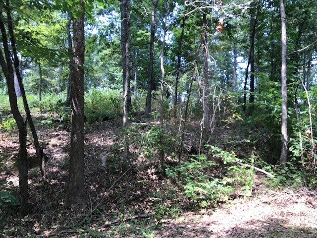 A lot located within the Bentonville school district and nestled amid the tranquil beauty of Bella Vista, Arkansas. This secluded parcel on Armitage Drive offers the ideal blend of privacy and a country feel within the city limits. Tucked away from the hustle and bustle, the property sits in a peaceful, forested backdrop. This location is centrally positioned within Bella Vista's west side, granting easy access to nearby amenities, 7 golf courses, 7 scenic lakes, and vibrant local communities. A mountain biker’s dream: with hundreds of miles of hand built trails weaving through the Ozark foothills. The Bamboozled trail lies close to this parcel.
Set to open the summer 2026, a groundbreaking, chairlift served downhill mountain biking destination—is under development nearby. This 200-acre park, complete with advanced jump lines, a restaurant, event space, and scenic lift access, is poised to become the premier biking and cultural hub in Arkansas. This little slice of heaven could be yours.