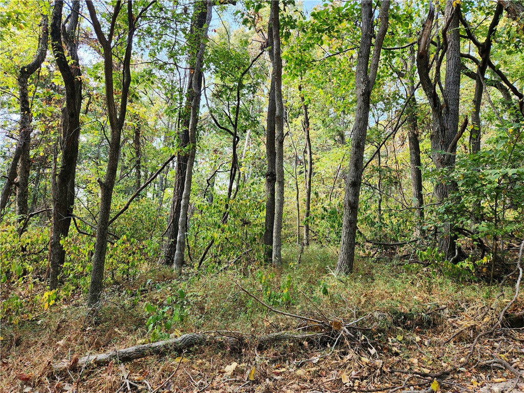 Posy Mountain Ranch Unit 7 Rurban - Land