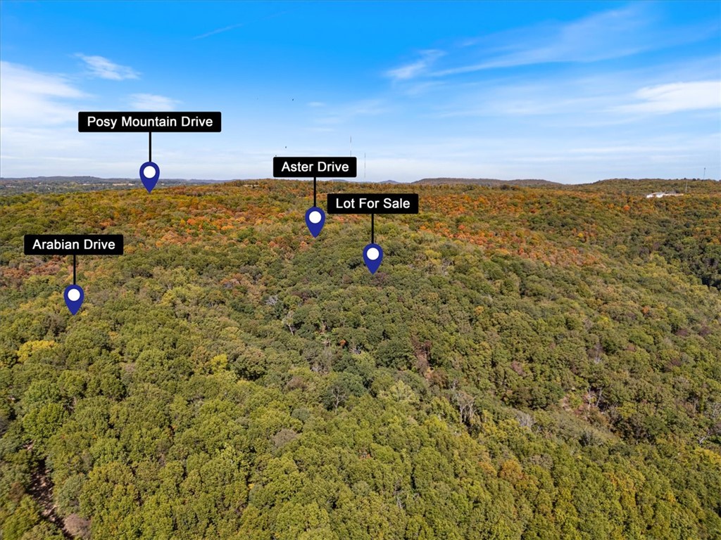 Posy Mountain Ranch Unit 7 Rurban - Land