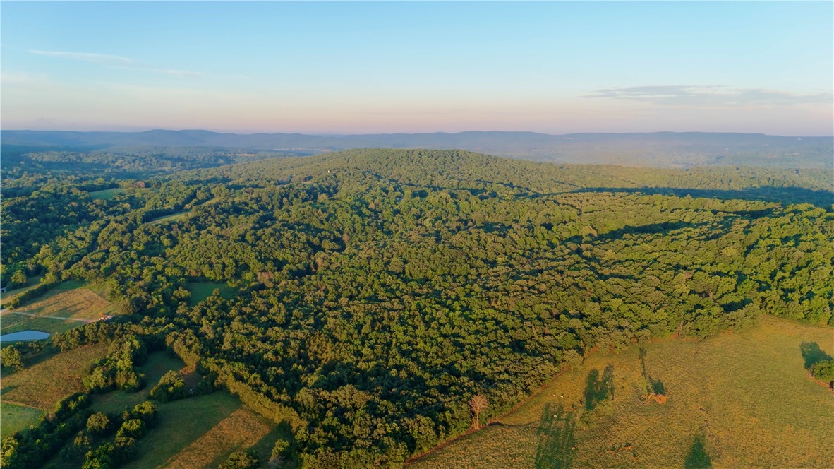 Everyone asks about a decent chunk of land close to town without paying development prices. You've found it! This 82.5 +/- acre tract just south of Elkins offers excellent hunting, recreation, and build potential. Ozarks Electric is on site and Mount Olive municipal water is nearby. The property features a great mix of wildlife habitat including open timber, cedar thickets, wet-weather creeks, drainages, hillside benches, funnels, and a good size pond. Deer sign is abundant with numerous rubs, scrapes, trails, and tracks observed throughout. Large oak timber provides an excellent fall mast crop. A well-established trail system allows easy access across the property. Along the northern boundary are impressive rock formations rarely found on such an accessible tract. The gently rolling, eastern facing terrain provides good drainage, potential homesites, and potential sunrise views. Boundaries are well marked. Properties this buildable and huntable, this close to town, rarely hit the market.
