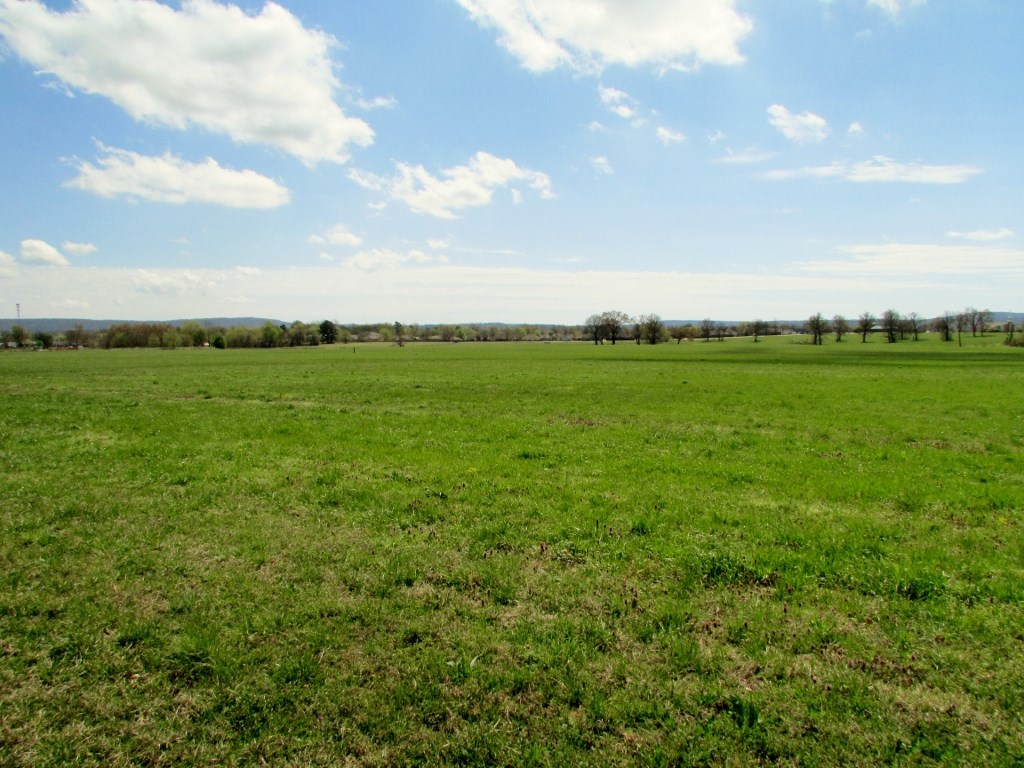This property offers outstanding development potential.  Located directly South of the High School, this is a prime spot for residential development.  The frontage onto Buchanan Street offers some Commercial potential as well.